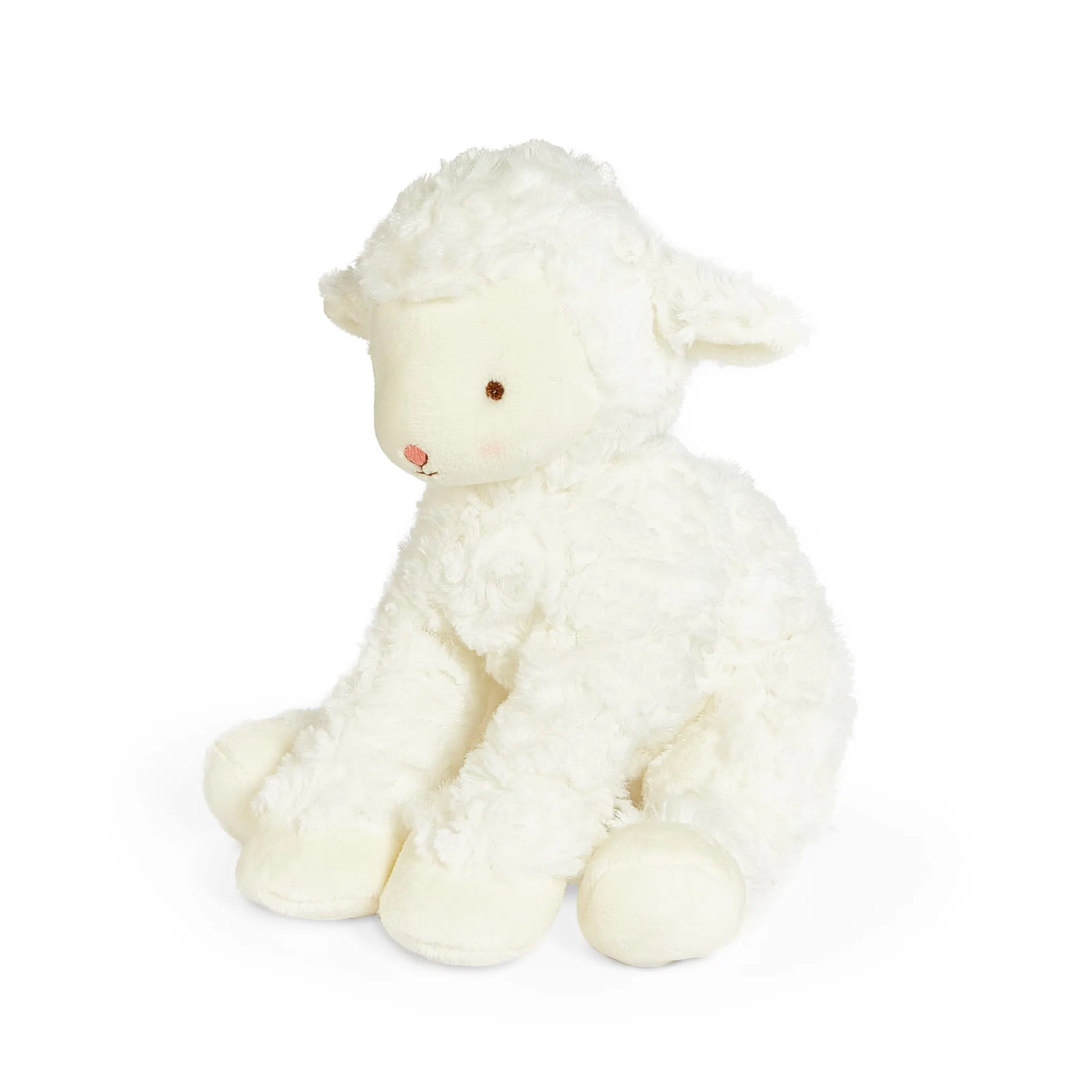 Kiddo the Lamb