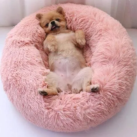 Plush Dog Bed - Extra Fluff